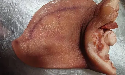 Bộ phận rẻ nhất của lợn lại là 'thần dược' tẩm bổ, 99% người không biết