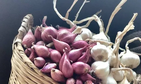 Hành tỏi mua về đừng vội cho vào tủ lạnh: Chỉ cần vài mẹo đơn giản, tránh mọc mầm và hư hỏng, nhà nào cũng làm được