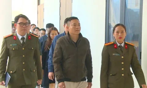 Cựu nhân viên ngân hàng dựng “đế chế đông y” lừa hơn 80.000 người: Bán cây cỏ trộn bột, thu 227 tỷ đồng