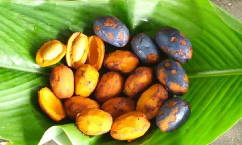 Quả quê dân dã từng “ế đầy gốc”, nay thành đặc sản được nhiều người săn tìm vì vừa ngon vừa bổ