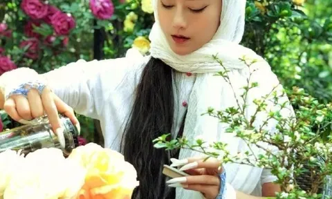 Dương Lệ Bình ở tuổi 70: Nàng "Chim công" lạc giữa trần gian, quên mất cách để già đi