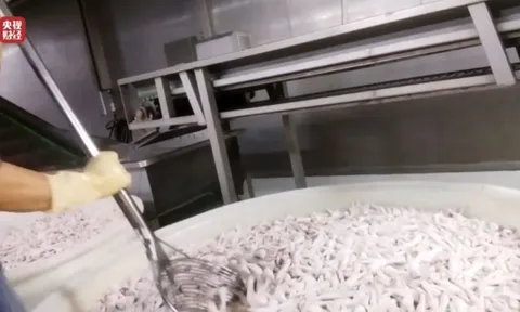 Hot trend chân gà cay bị phanh phui: Quy trình sản xuất khiến nhiều người ám ảnh