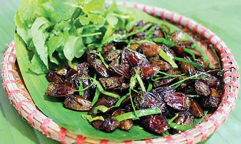 Côn trùng 4 chân có mùi hôi đặc trưng, rang vàng cùng lá chanh: Hương vị “thử thách lòng can đảm” gây tranh cãi nhất mạng xã hội