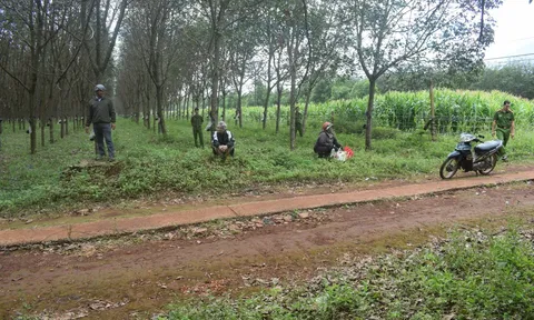 13 năm sống ngoài vòng pháp luật, kẻ sát hại người phụ nữ cướp vàng bị bắt khi tóc đã bạc phơ