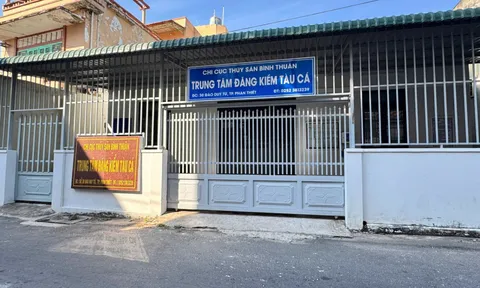 Khám xét Trung tâm đăng kiểm tàu cá Lâm Đồng: 3 cán bộ bị khởi tố, hàng trăm triệu đồng sai phạm bị phanh phui