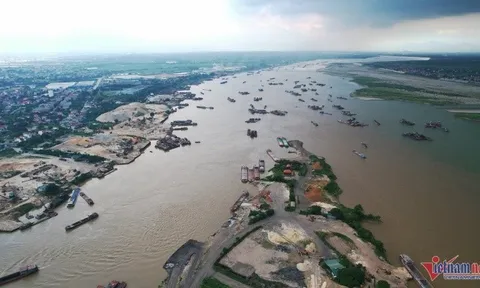 Bí ẩn loài cá khiến dân sành ăn phải săn lùng, giá từ vài triệu đến hàng chục triệu đồng
