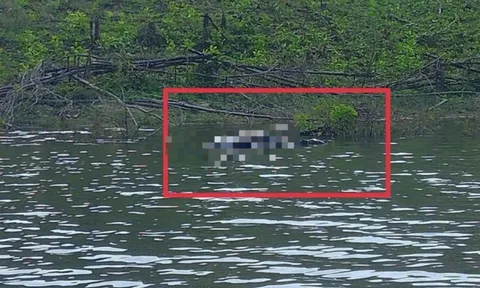 Công an Lâm Đồng vào cuộc điều tra thi thể nổi trên hồ Đá Trải, nghi vấn bất thường