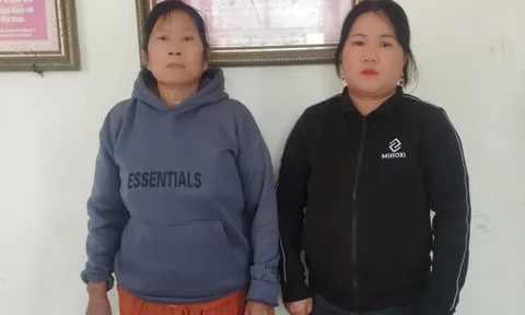 Bóc trần đường dây "nữ quái" giả danh luật sư: Chiêu trò "giúp con giảm án" khiến nhiều người sập bẫy