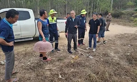 Vụ hai gã lạ mặt khiêng người phụ nữ bất tỉnh lên núi rồi biến mất: Hé lộ bầu không khí "lạ" tại hiện trường tìm kiếm