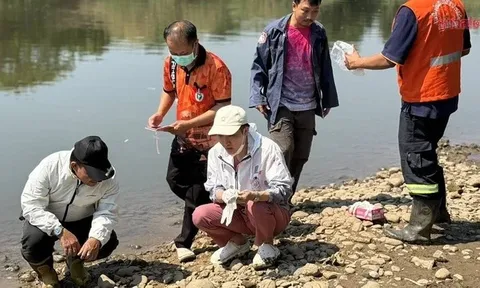 Không phải cá, thứ mắc vào lưới ngư dân lúc rạng sáng khiến cả vùng quê chấn động