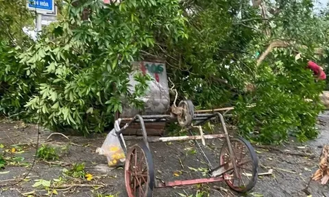 Mẹ đơn thân cứu 2 học sinh giữa cơn lốc, bản thân nguy kịch: Hình ảnh nạn nhân bị cây cổ thụ đổ trúng khiến nhiều người rùng mình