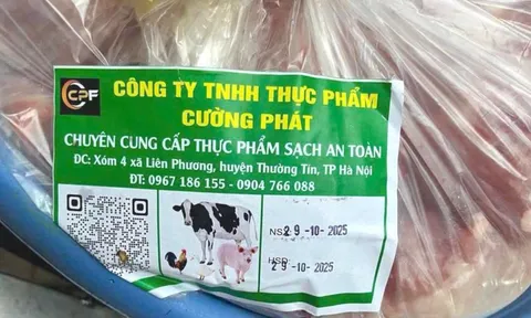 Vụ bếp ăn trường tiểu học dùng thịt bẩn của Công ty Cường Phát: Học sinh tiểu học từng phải nhập viên do nhiễm khuẩn đường ruột