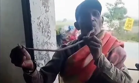 Rắn hổ mang tung cú cắn chí mạng ngay trong miệng "dân chơi" liều lĩnh, toàn bộ khoảnh khắc được camera ghi lại