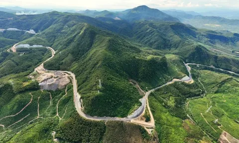 Sinh vật lạ xuất hiện tại dãy Trường Sơn, chưa từng thấy trên thế giới, có gì đặc biệt?