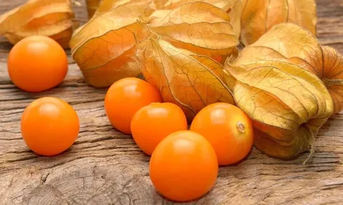 4 loại rau ít ai biết nhưng cực đáng trồng: Thu hoạch suốt mùa hè