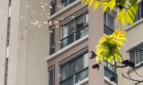 Cụ bà ném gần 7 tỷ đồng từ tầng cao chung cư, người dân náo loạn tranh cướp: Cảnh sát vào cuộc