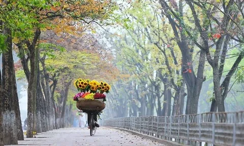 Thành phố của Việt Nam nơi Jack Ma từng dạo bộ như người bản địa, lọt top điểm đến giá tốt toàn cầu, có gì đặc biệt?