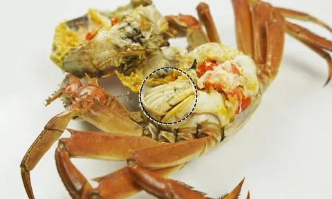 Bộ phận bẩn nhất của cua, chứa nhiều tạp chất và vi khuẩn, biết để tránh kéo "rước họa vào thân"