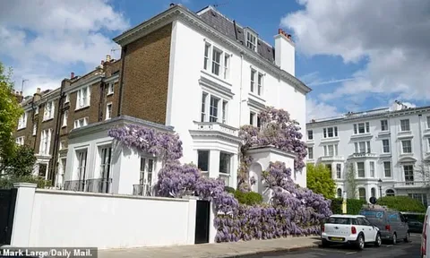 Loài hoa biến khu biệt thự triệu đô ở London thành “điểm check-in triệu view”, nhưng lại khiến chủ nhà "khóc thét"