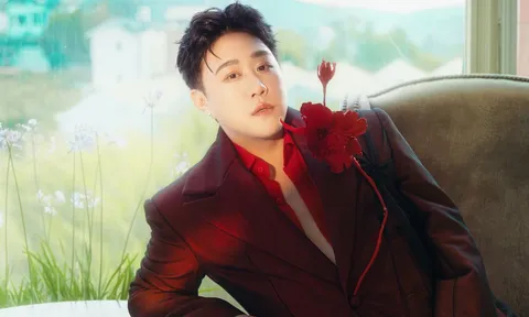 Vụ ca sĩ Trung Quân Idol bị tố hành hung nữ bác sĩ: Luật sư phân tích trách nhiệm pháp lý