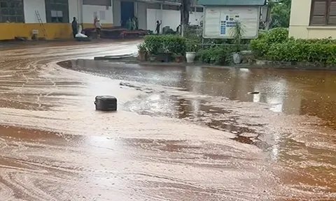 Vụ bể chứa ở nhà máy đường bị sét đánh, 2.000 tấn mật mía tràn ra ngoài: Lãnh đạo địa phương nói gì?