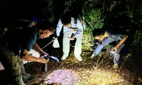 Cận cảnh loài rắn "không đầu không đuôi" vừa lộ diện, kỳ uái khiến giới khoa học sửng sốt