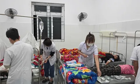 Lai Châu: Hơn 200 học sinh nghi ngộ độc sau khi ăn quả lạ hái ngoài tự nhiên