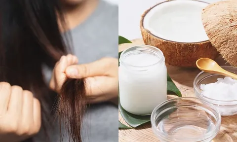 Đừng vội cắt tóc hỏng: Những bí quyết giúp tóc khô xơ “hồi sinh” nhanh chóng