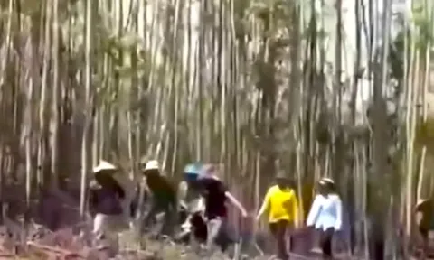 Bàng hoàng phát hiện 2 thi thể trên rẫy: Lý do gia đình từ chối khám nghiệm tử thi là gì?
