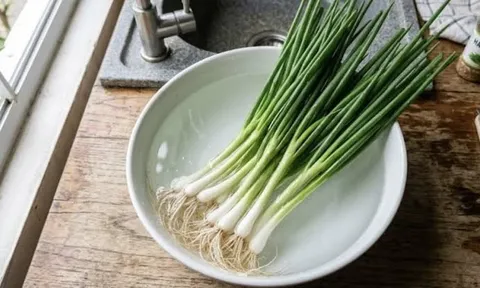 Hành lá mua về đừng vội cho vào tủ lạnh, thêm một bước này để hành tươi lâu hơn