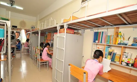 Vì sao ký túc xá thường dùng giường tầng? Lý do nằm ở bài toán diện tích và chi phí