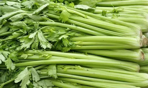 Vì sao cần tây có lợi cho người muốn kiểm soát huyết áp?