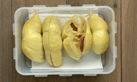 Sầu riêng chín ăn không hết, bảo quản thế nào để giữ trọn vị thơm ngon?