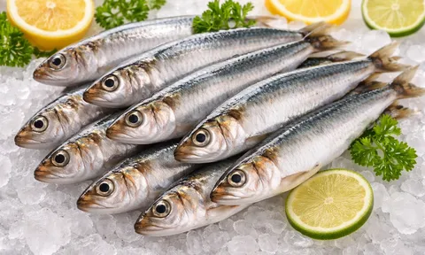 Loại cá thân bạc óng ánh, xưa ít người chuộng nay thành đặc sản tới 80.000 đồng/kg, được chuyên gia dinh dưỡng Mỹ "hết lời khen"