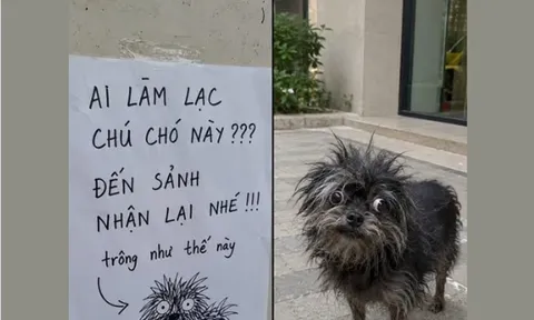 Tưởng tranh trẻ con vẽ chơi, ai ngờ là ảnh chân dung chú chó đi lạc chính xác đến từng cọng lông