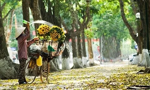 Đừng vội tìm thực phẩm “đại bổ” mùa thu: Chuyên gia gợi ý 4 món dân dã vừa ngon vừa dễ ăn khi thời tiết chuyển mùa
