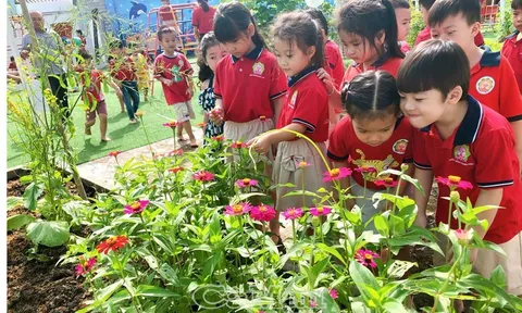 Trẻ cần vận động bao lâu mỗi ngày? Bộ Y tế đưa ra khuyến nghị mới