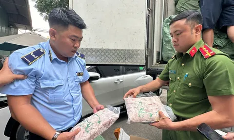 Thu giữ gần 17 tấn thực phẩm không rõ nguồn gốc tại Đồng Nai