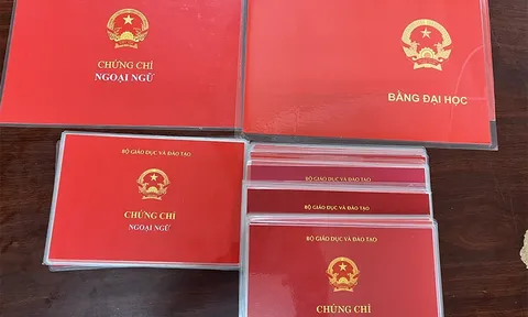 Cặp đôi người nước ngoài bị khởi tố vì làm giả bằng đại học Việt Nam để bán