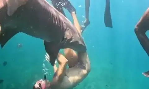 Nữ luật sư bị "quái vật đại dương" hút chặt lấy người, nhóm bạn bất lực nhìn nạn nhân vùng vẫy