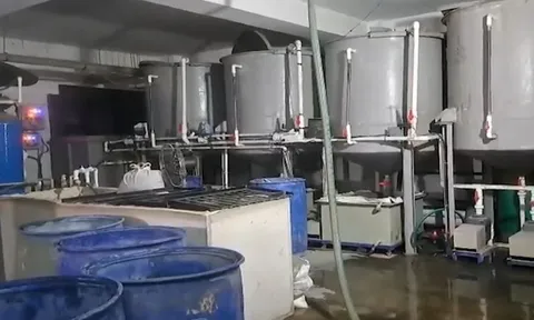 Vụ 4 công nhân thiệt mạng khi vệ sinh bể tự hoại: Hé lộ nguyên nhân