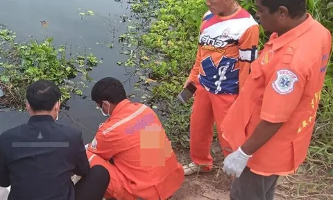 Tá hỏa vớt túi ni lông bị bầy cá bâu kín dưới sông, người đàn ông bủn rủn chân tay với cảnh tượng bên trong