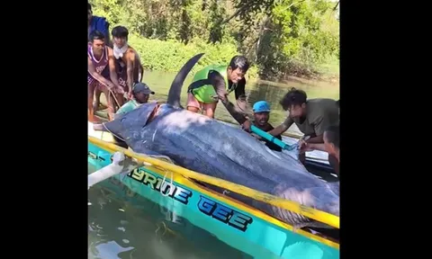 Ngư dân "đụng độ" thủy quái khổng lồ nặng nửa tấn, cả làng náo loạn kéo ra xem