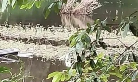 Bé trai 13 tuổi chết đuối thương tâm khi cùng bạn đi bắt cá: Ông nội gục ngã khi nhận tin dữ