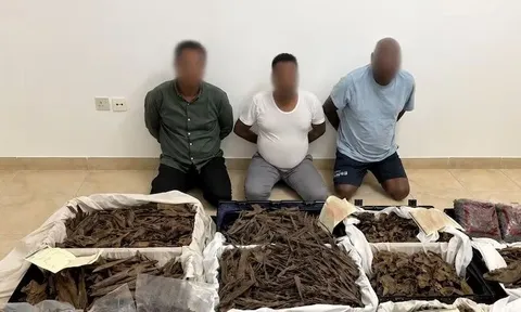 Cú lừa 3,3 triệu USD chấn động: Cảnh sát phá án thần tốc, Interpol phát Lệnh truy nã đỏ "công chúa" bí ẩn!