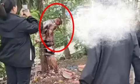 Chú rể bị lột đồ, trói chặt vào cây giữa phố: Sự thật phía sau khiến dư luận phẫn nộ