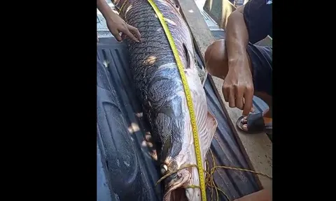 Cận cảnh "thủy quái" khổng lồ nặng 120kg, ngư dân tá hỏa khi phát hiện bí mật dưới lòng sông