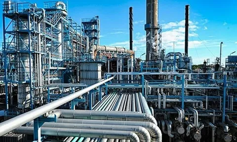 Hít phải khí độc khi trộm dầu, ít nhất 37 người tử vong