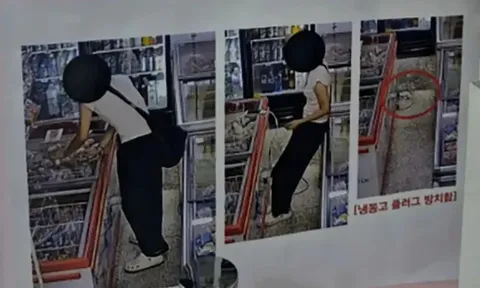 Người phụ nữ đối mặt rắc rối pháp lý vì rút điện tủ kem để sạc điện thoại