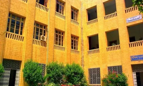 Phát hiện 27 nhân viên dùng bằng giả, trường đại học bị yêu cầu thu hồi toàn bộ tiền lương đã trả